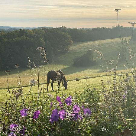Domaine De Cazal - Gite 2 Pers Avec Piscine Au Coeur De 26 Hectares De Nature Preservee Saint-Cyprien  Eksteriør billede
