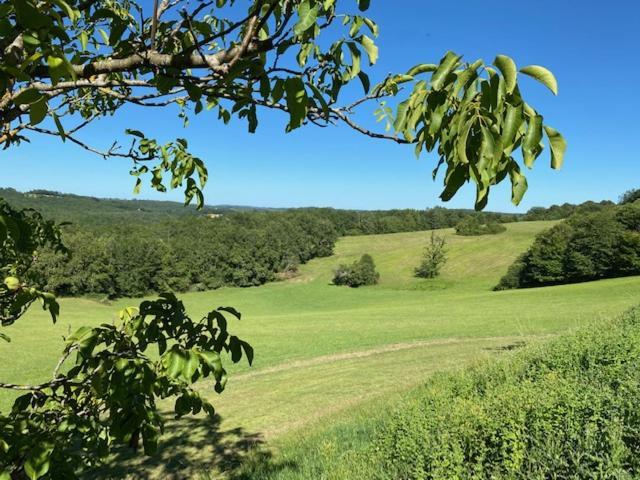Domaine De Cazal - Gite 2 Pers Avec Piscine Au Coeur De 26 Hectares De Nature Preservee Saint-Cyprien  Eksteriør billede